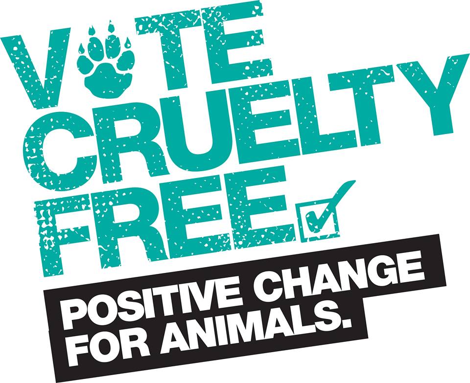List of Charities Against Animal Testing | ethical elephant