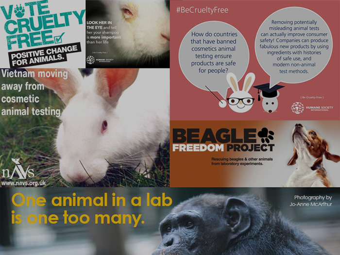 list-of-charities-against-animal-testing-ethical-elephant