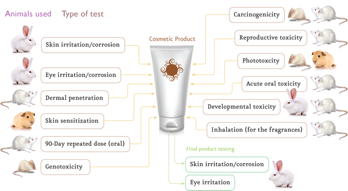 animal testing cosmetics facts