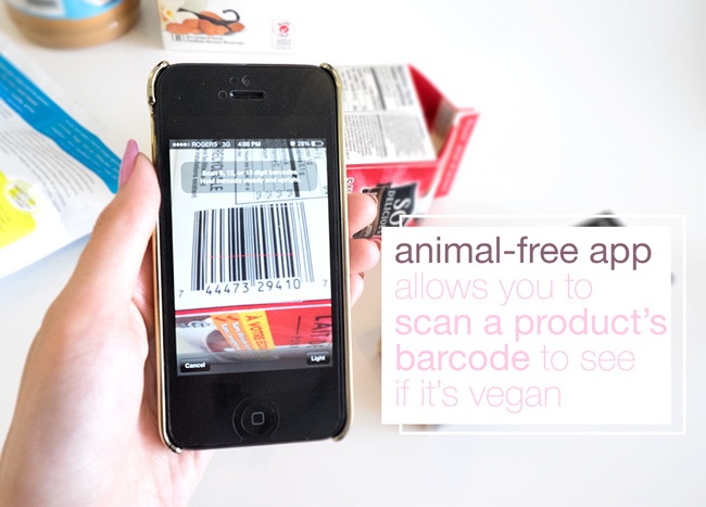 The Animal-Free mobile app allows you to instantly and quickly scan a product's barcode to see if it's vegan