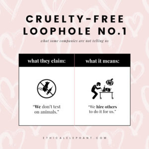 Cruelty Free Loopholes What They Actually Mean