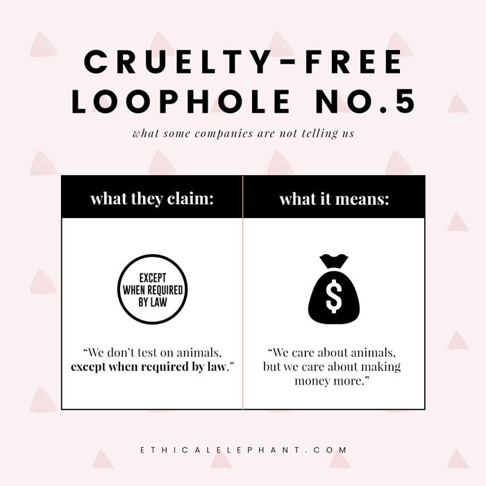 Cruelty-Free Loopholes & What They Actually Mean