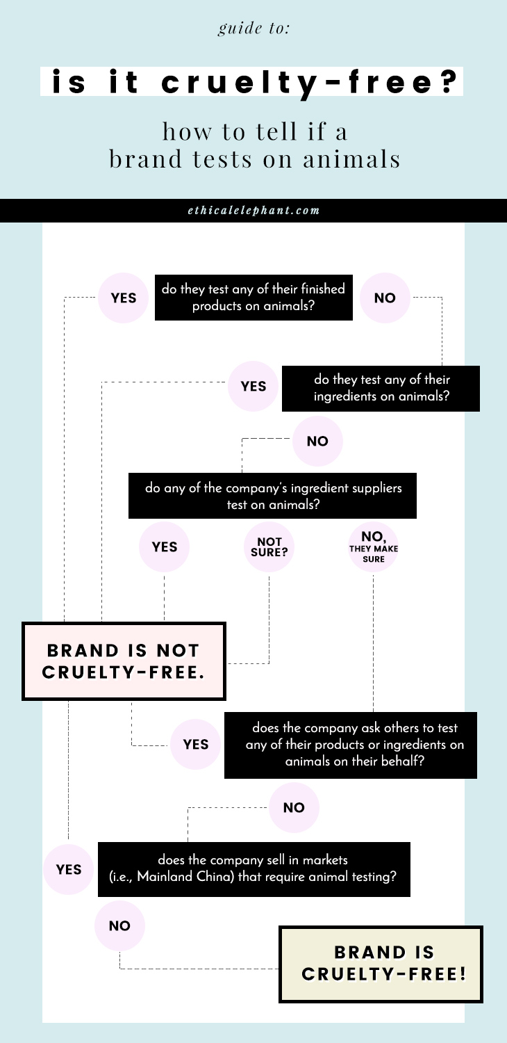 Not Cruelty Free Brands Article Blog