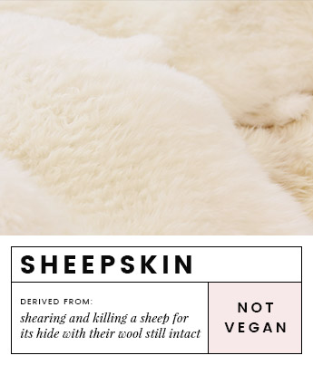 Animal Fibers That Don't Belong In An Animal Lovers' Closet