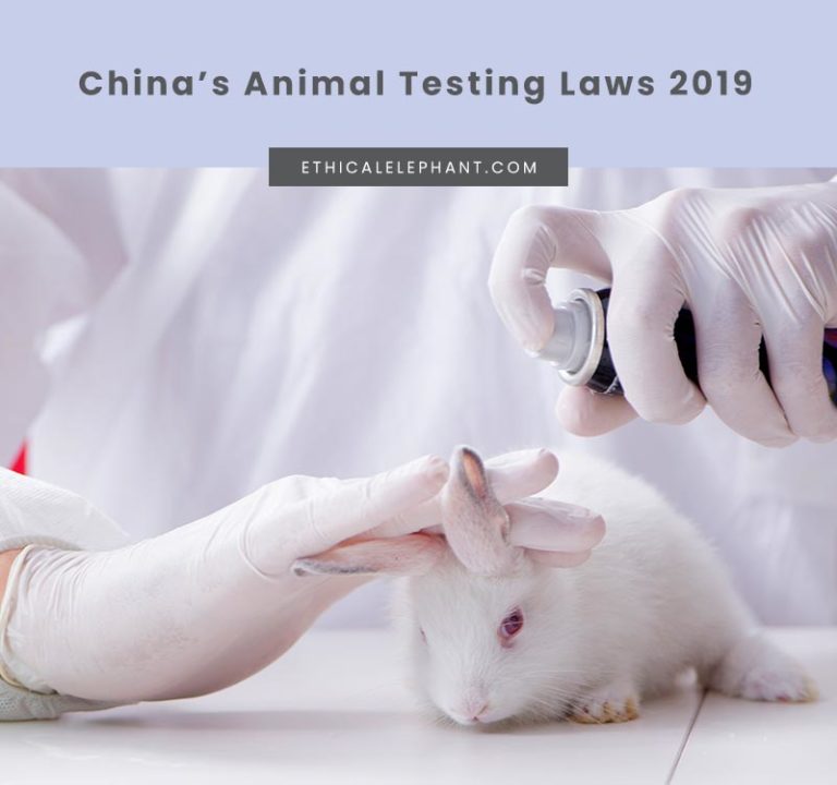 Did China Really End Animal Testing in 2019?