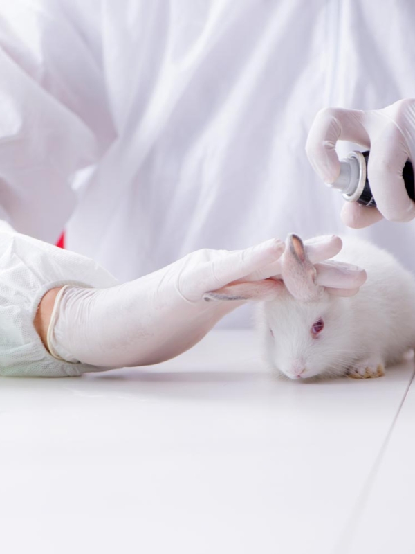 Did China Really End Animal Testing in 2019?