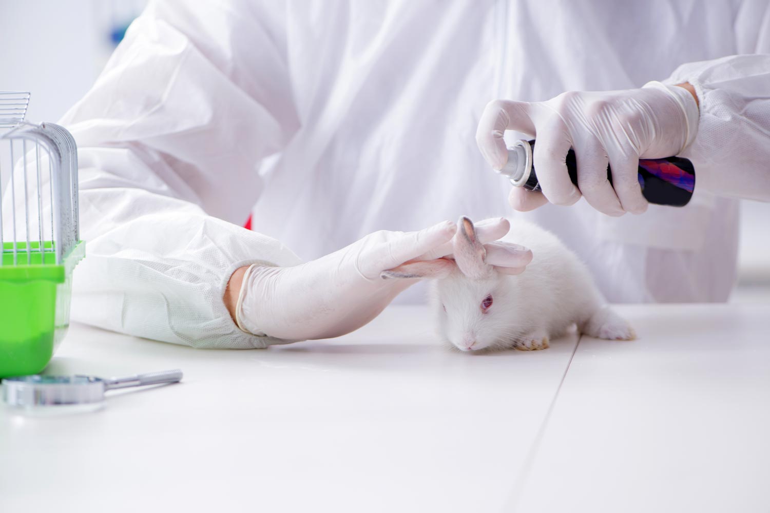 Did China Really End Animal Testing in 2019?