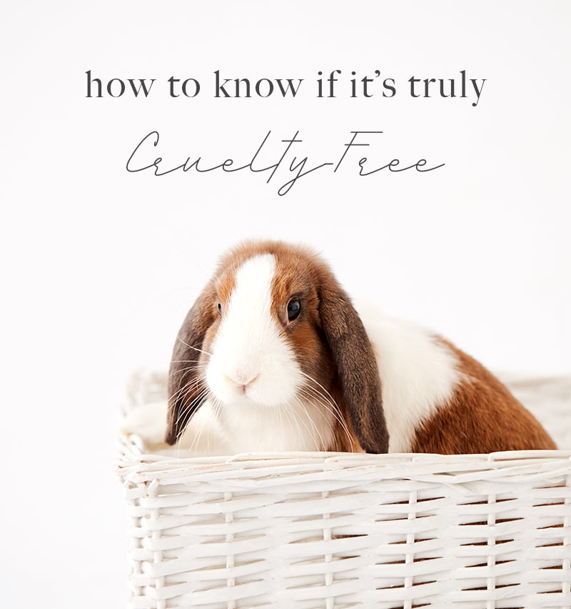 cruelty-free-information-what-does-cruelty-free-mean