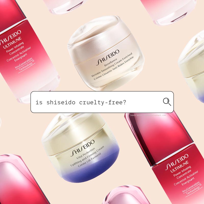 Is Shiseido CrueltyFree in 2021? ⚠️ Read This Before You Buy!