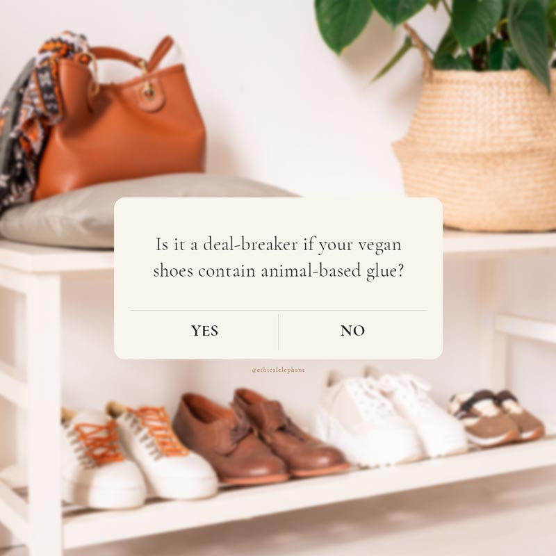 question: is it a deal-breaker if your vegan shoes contain animal-based glues?