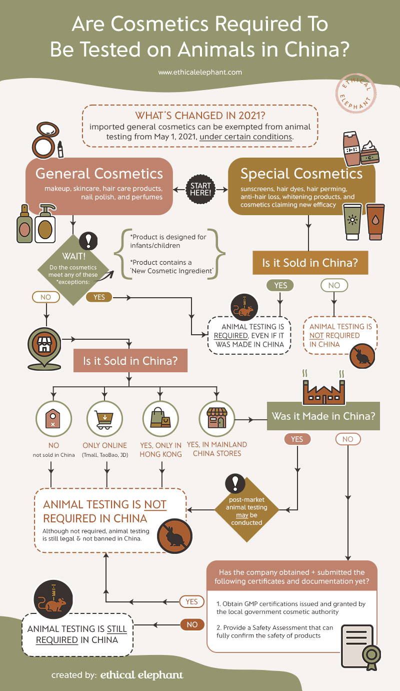 Infographic: Understanding China's Animal Testing Laws