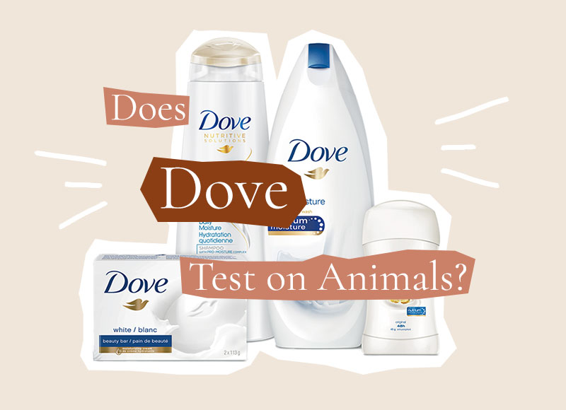 Is Dove Cruelty-free Vegan In 2021 - And Why Its Complicated