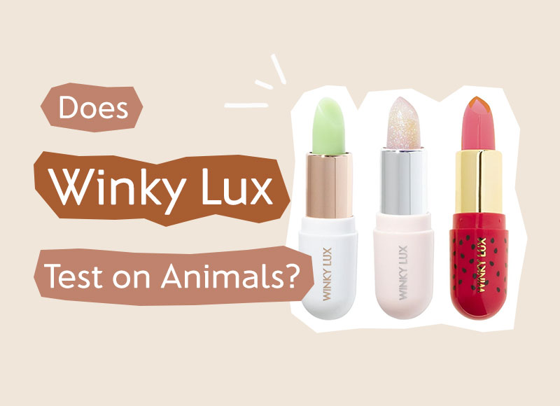 Winky Lux Feliner Liquid Eyeliner Black Cat