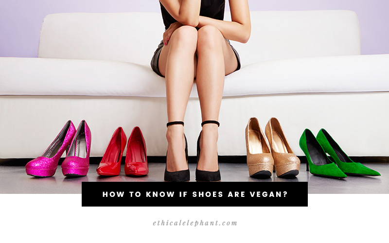 How to know if shoes are vegan?