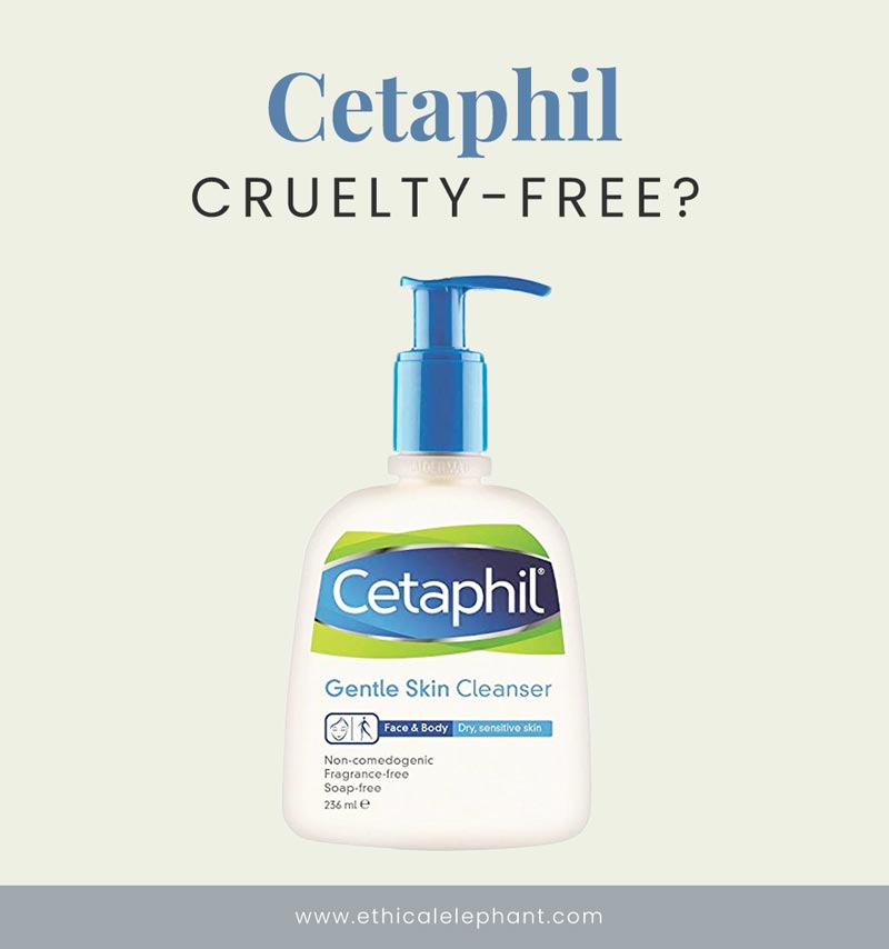 Is Cetaphil Cruelty Free In 2021 Read This Before You Buy