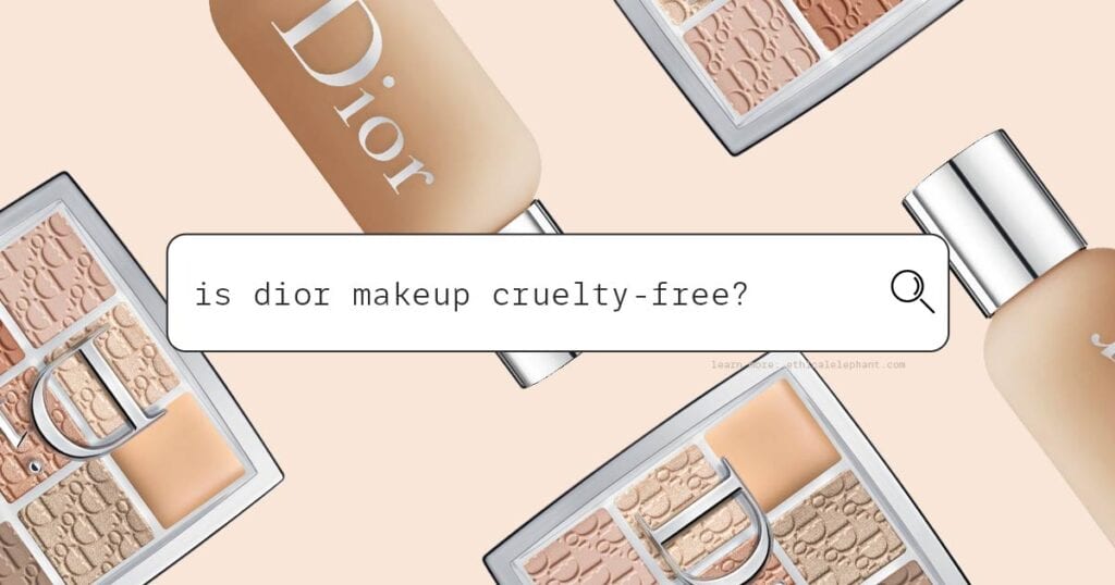 Is Dior Cruelty Free Or Vegan In 2022 Read This Before You Buy 