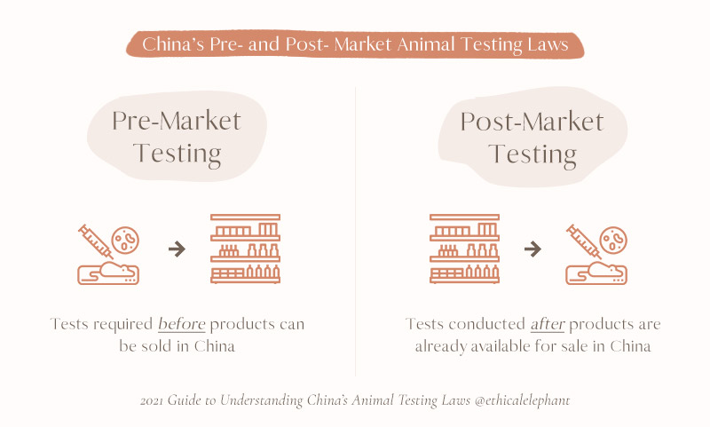 What s Going On With China s Animal Testing Laws in 2021