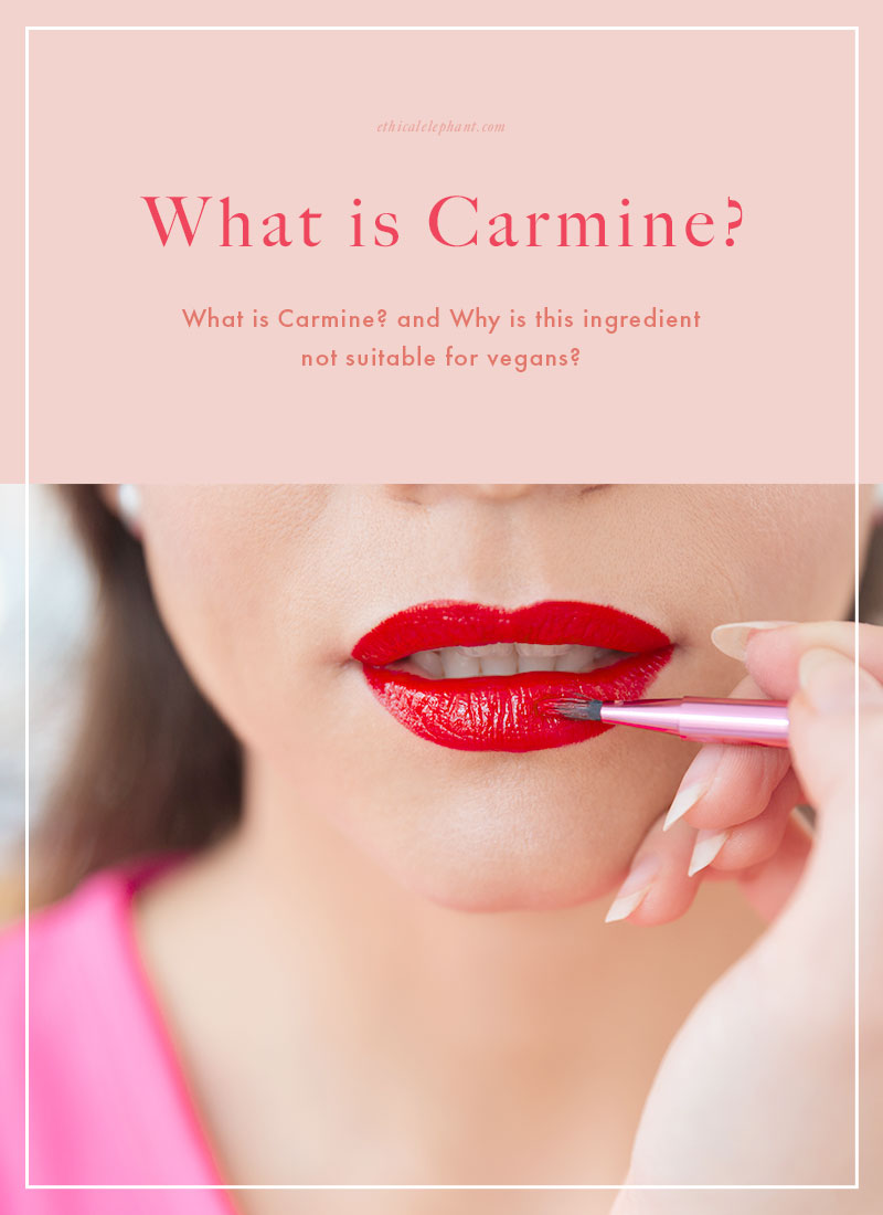 What is carmine?