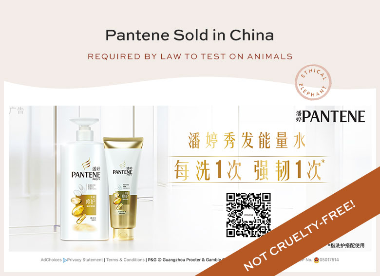 Pantene Sold in China