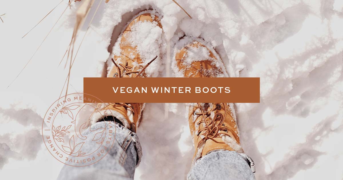 Vegan Guide to Cozy Winter Slippers (2022)