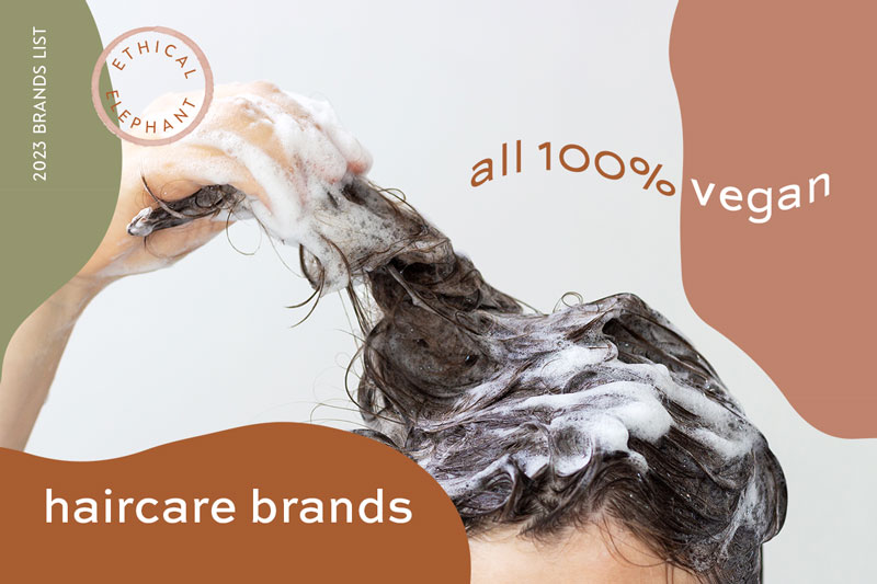100% Vegan Haircare Brands - 2023 Brands List