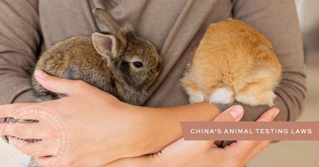 China's Animal Testing Laws in 2023 Everything You Need To Know